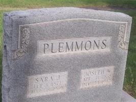 Joseph W Plemmons