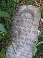 Joseph W Thacker