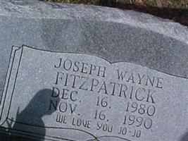 Joseph Wayne Fitzpatrick (2153206.jpg)