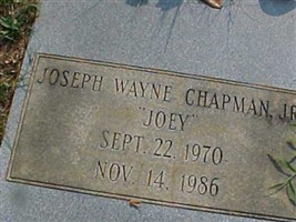 Joseph Wayne ''Joey'' Chapman, Jr