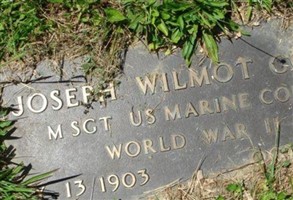 Joseph Wilmot Cook