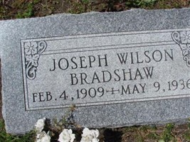 Joseph Wilson Bradshaw Joseph Wilson Bradshaw