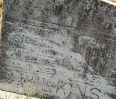 Josephine D. Wilkins Josephine D. Wilkins