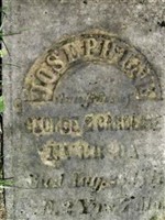 Josephine Everson Josephine Everson