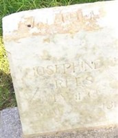 Josephine Jensen Rees