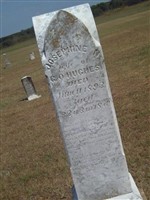 Josephine N. Hughes Josephine N. Hughes