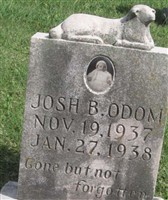 Josh B Odom