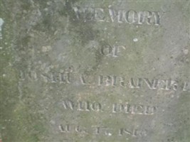Joshua Brainard