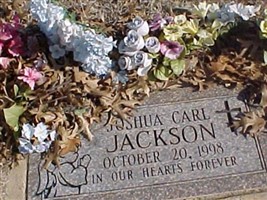 Joshua Carl Jackson