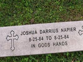Joshua Darrius Napier