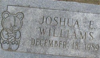 Joshua E. Williams Joshua E. Williams