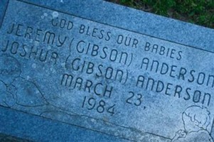Joshua (Gibson) Anderson Joshua (Gibson) Anderson