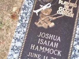 Joshua Isiah Hammock Joshua Isiah Hammock