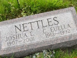 Joshua Lincoln Nettles