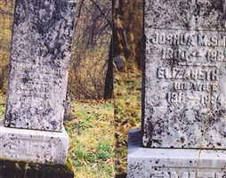 Joshua M Smith