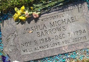 Joshua Michael Barrows Joshua Michael Barrows