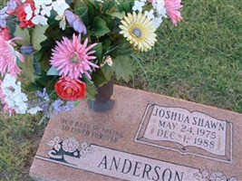 Joshua Shawn Anderson Joshua Shawn Anderson