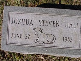 Joshua Steven Hall Joshua Steven Hall
