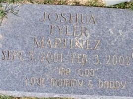 Joshua Tyler Martinez