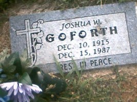 Joshua W Goforth