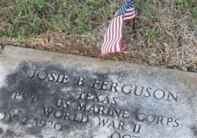 Josie B. Ferguson