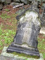 Josie Holt