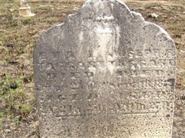 Jospeh F. Taggert