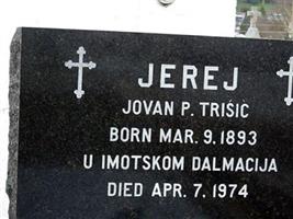 Jovan P. Trisic