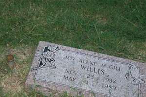 Joy Alene McGill Willis