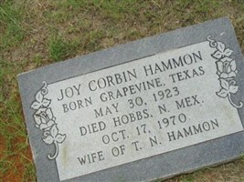 Joy Corbin Hammon Joy Corbin Hammon