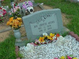 Joy (Joyce) Ayers