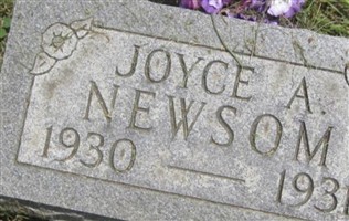 Joyce A Newsom