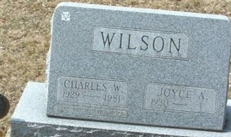 Joyce A. Stephan Wilson