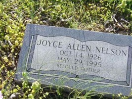 Joyce Allen Nelson