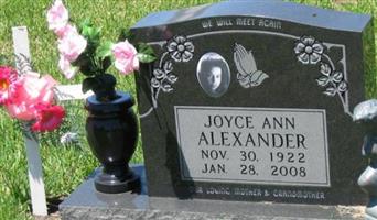 Joyce Ann Alexander