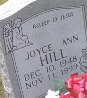 Joyce Ann Hill