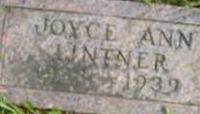 Joyce Ann Lintner Joyce Ann Lintner