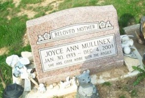 Joyce Ann Mullinex Joyce Ann Mullinex