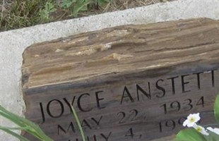 Joyce Anstett Joyce Anstett