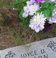 Joyce D. Vinson