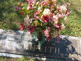 Joyce Darlene James Griffith
