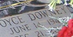Joyce Downey Buckner Joyce Downey Buckner