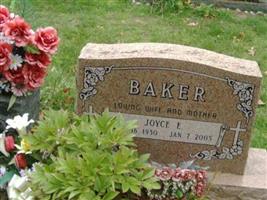 Joyce E. Baker