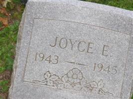 Joyce E Lewis