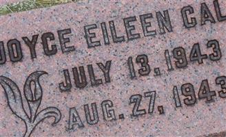 Joyce Eileen Call