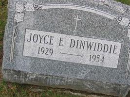 Joyce Elaine Dinwiddie