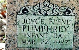 Joyce Elene Pumphrey