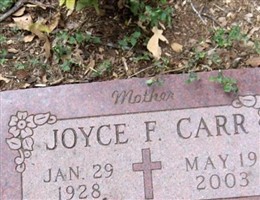 Joyce Fannon Carr