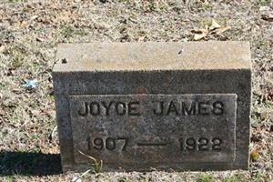 Joyce James