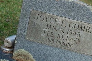 Joyce L Combs Joyce L Combs